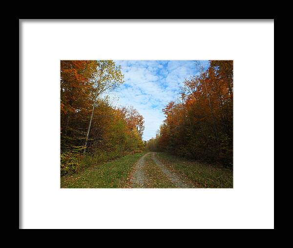 New England Framed Print featuring the photograph Bright Trail by Gene Cyr