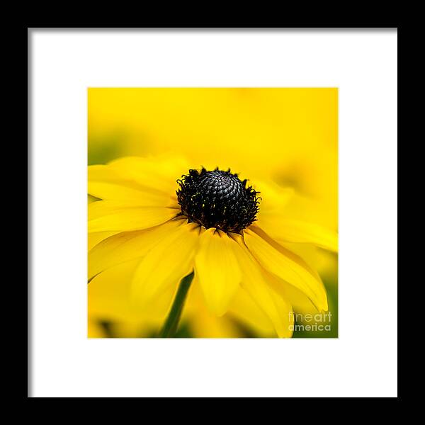 Bright Yellow Day Framed Print featuring the photograph Bright Yellow Day by Michael Arend