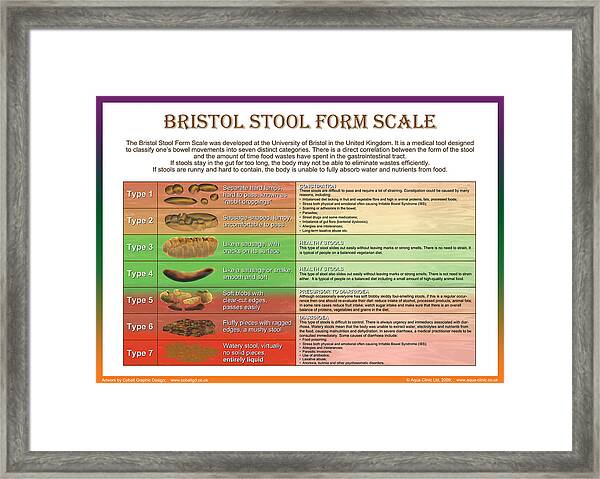 Bristol Stool Chart Images