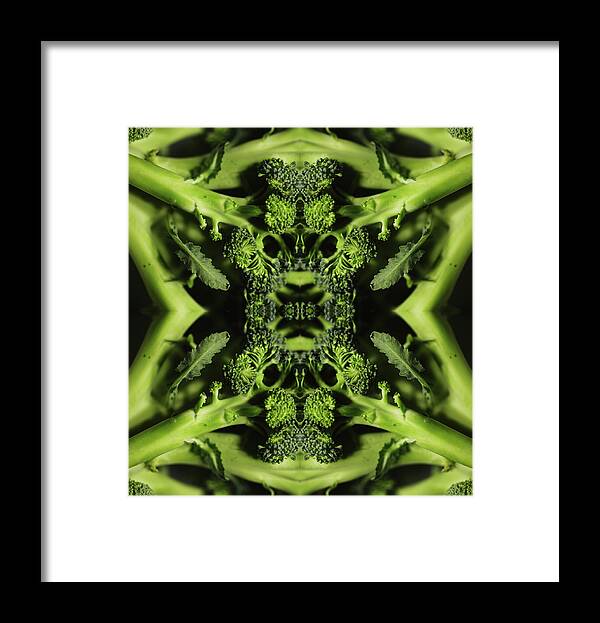 Broccoli Framed Print featuring the photograph Broccoli by Silvia Otte