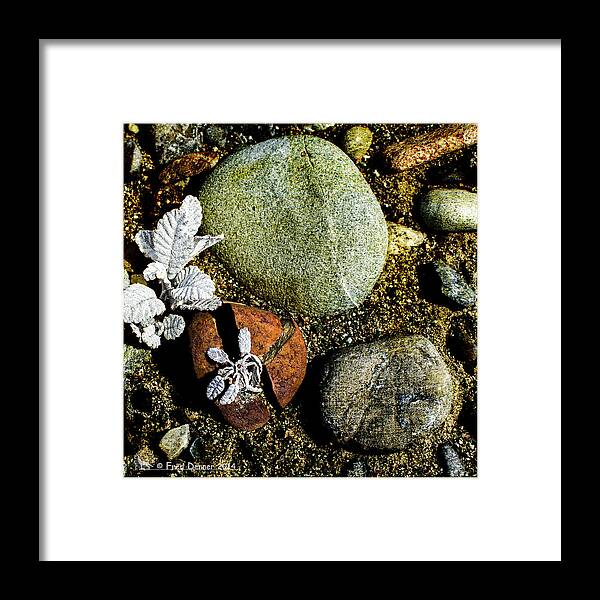 River Bar Framed Print featuring the photograph Broken Rock Dryas by Fred Denner