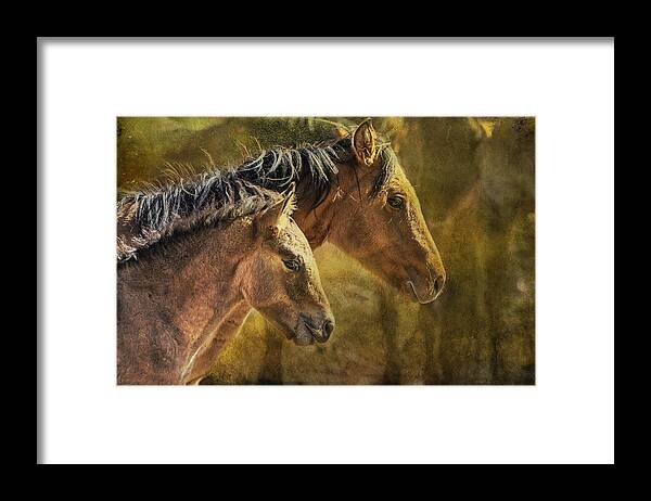 Pryor Mustangs Framed Print featuring the photograph Brothers by Belinda Greb