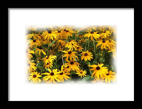 Flowers Framed Print featuring the photograph Brown Eyed Susans by Monroe Payne