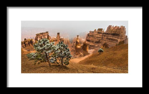 Bryce Framed Print featuring the photograph Bryce Canyon National Park by Larry Marshall