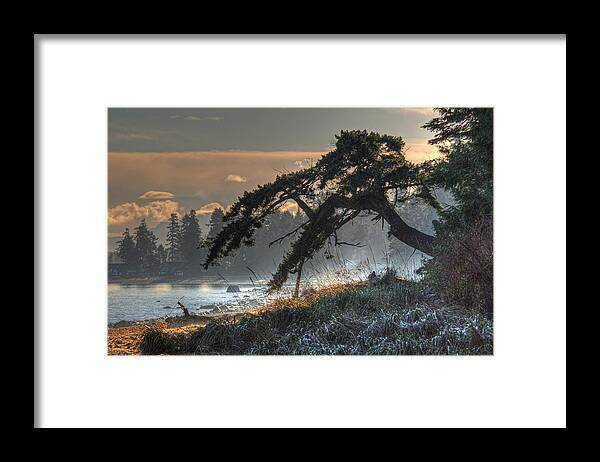 Tree Framed Print featuring the photograph Buccaneer Beach by Randy Hall