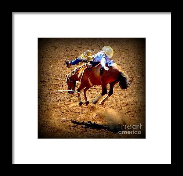 Horses Framed Print featuring the photograph Bucking Broncos Rodeo Time by Susan Garren