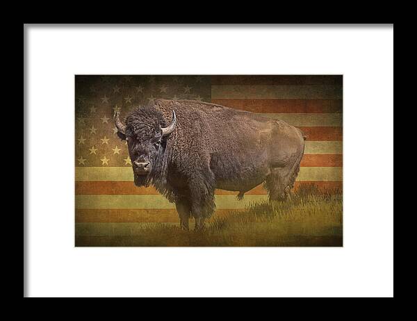 Buffalo Framed Print featuring the photograph Buffalo American Icon by Randall Nyhof