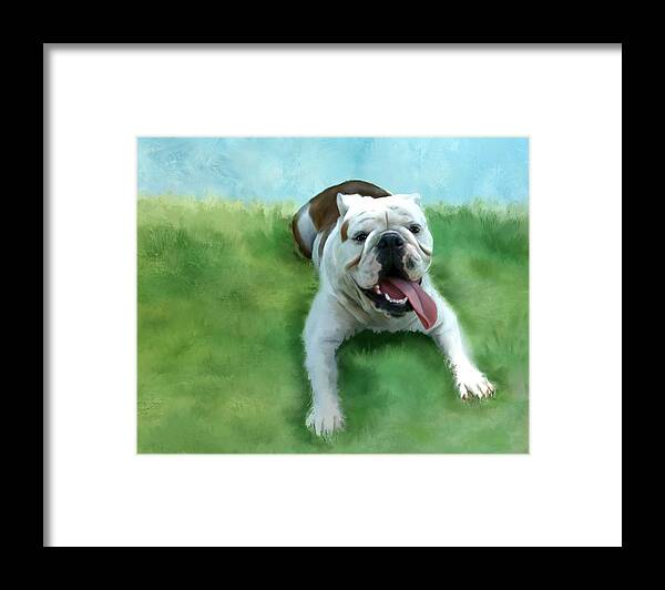 Dogs Framed Print featuring the mixed media Bulldog by Colleen Taylor