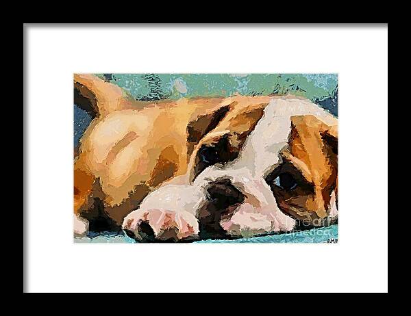 Bulldog Framed Print featuring the painting Bulldog Puppy by Dragica Micki Fortuna