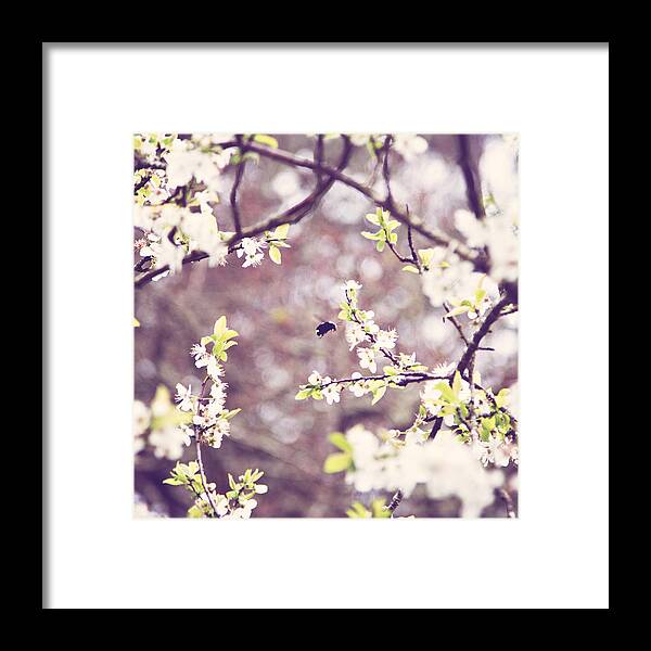 Bumble Bee Framed Print featuring the photograph Bumble by Melanie Alexandra Price
