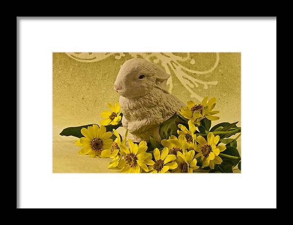 Bunny And Daisies Framed Print featuring the photograph Bunny And Daisies by Sandra Foster