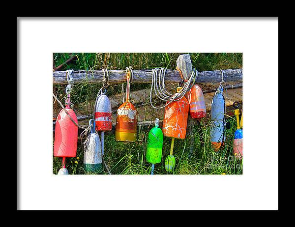 Swanson Collection Framed Print featuring the photograph Buoy's Resting 2 by Brenda Giasson