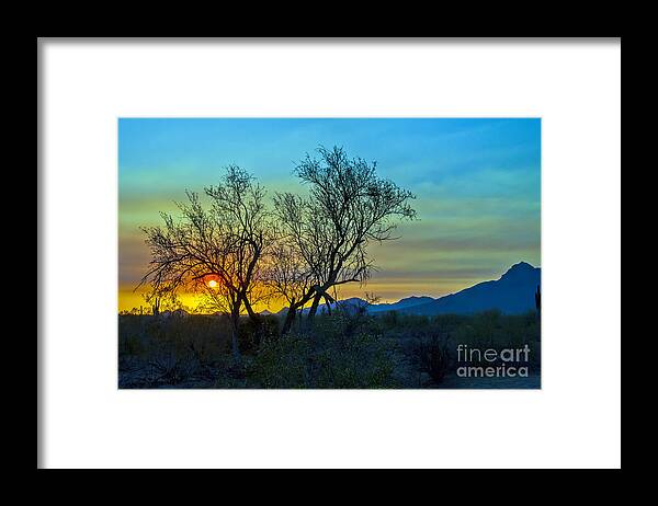 Arizona. Desert Plants Saguaro Framed Print featuring the photograph Burning Brush by Brian Lambert