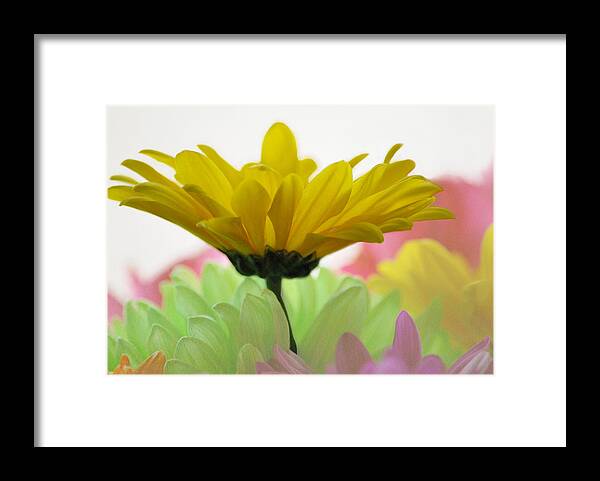 Yellow Flower Framed Print featuring the photograph Burst of Color by Linda Segerson