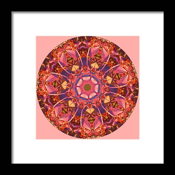 Fall Framed Print featuring the photograph Burst of Fall Mandala by Beth Venner