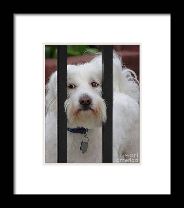 Ella Framed Print featuring the photograph Busted by Ella Kaye Dickey
