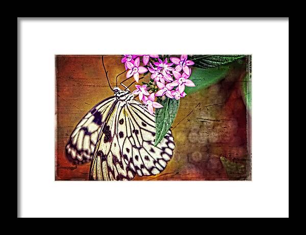 Butterfly Framed Print featuring the painting Butterfly Art - Hanging On - By Sharon Cummings by Sharon Cummings
