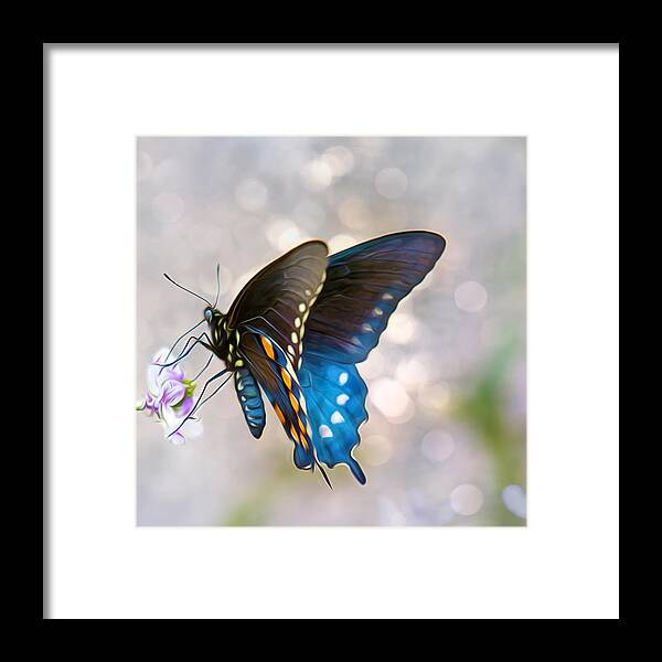 Butterfly Framed Print featuring the photograph Butterfly Bokeh by Bill and Linda Tiepelman