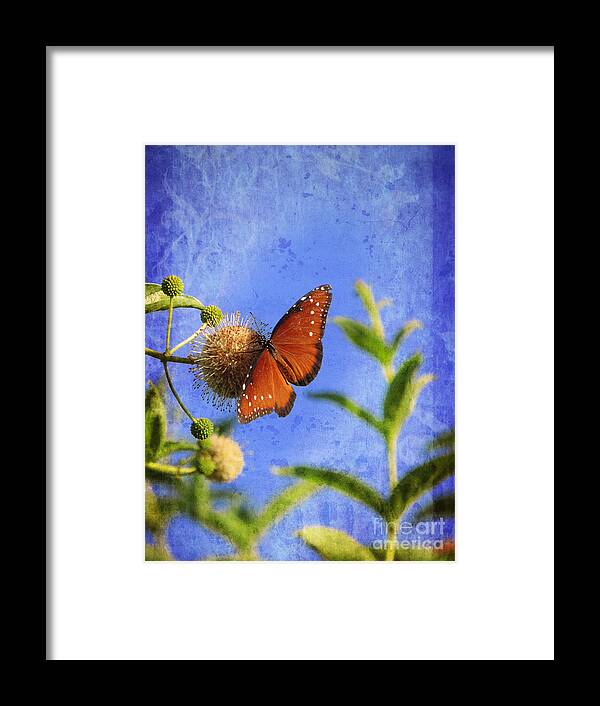 Butterflies Framed Print featuring the photograph Butterfly - Bow to the Queen by Ella Kaye Dickey