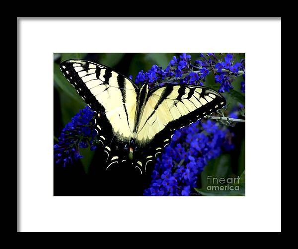 Landscape Framed Print featuring the digital art Butterfly bush by Sami Martin