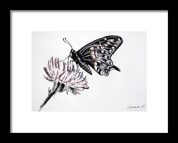 Butterfly Framed Print featuring the drawing Butterfly by Katharina Bruenen