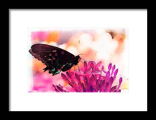 Butterfly Framed Print featuring the painting Breathing Into the Sunlight by Marianna Mills