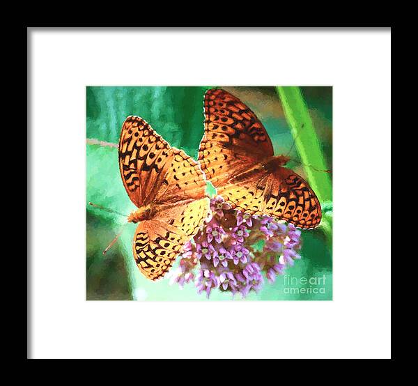 Great Spangled Fritillary Butterfly Framed Print featuring the photograph Butterfly Twins by Kerri Farley