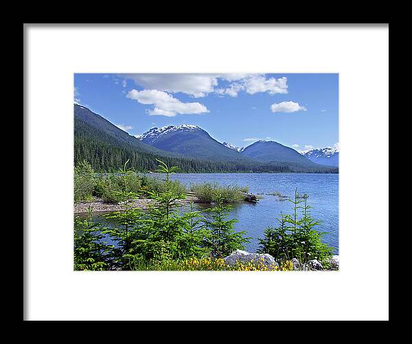 Buttle Lake Framed Print featuring the photograph Buttle Lake by George Cousins