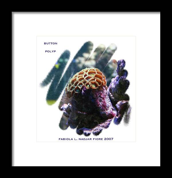 Photography Framed Print featuring the photograph Button Polyp No. 1 by Fabiola L Nadjar Fiore