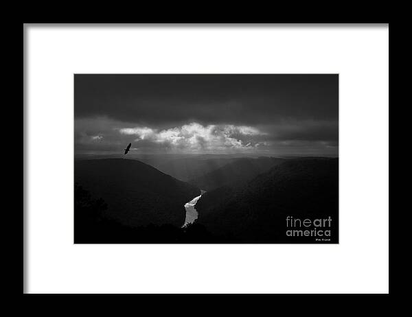 Buzzard Framed Print featuring the photograph Buzzard flying in gorge by Dan Friend