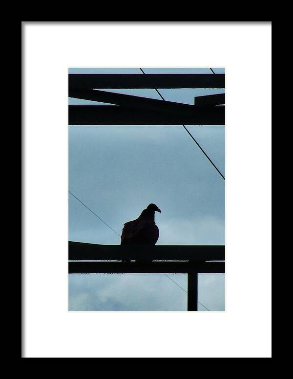 Buzzard Framed Print featuring the photograph Buzzard On Tower by Mark Malitz