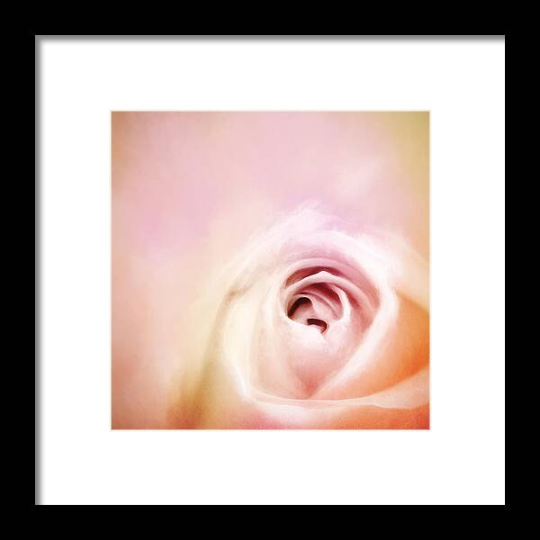 Pink Rose Framed Print featuring the photograph By Any Other Name by Scott Norris