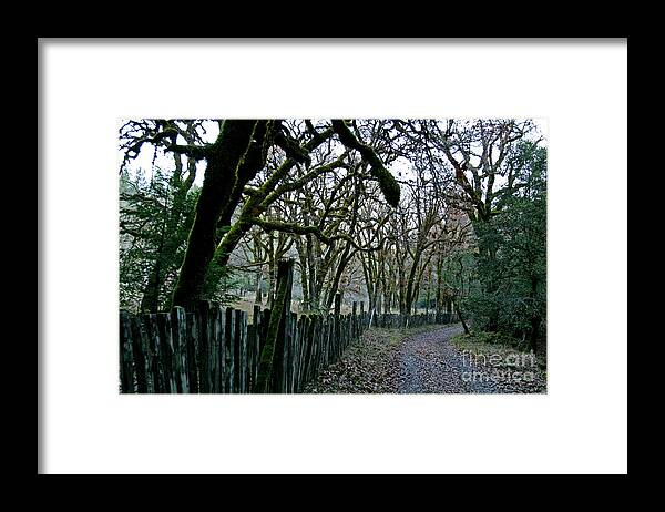 Ribet Framed Print featuring the photograph C Ribet Oak Tree Art Napa Country Road by C Ribet