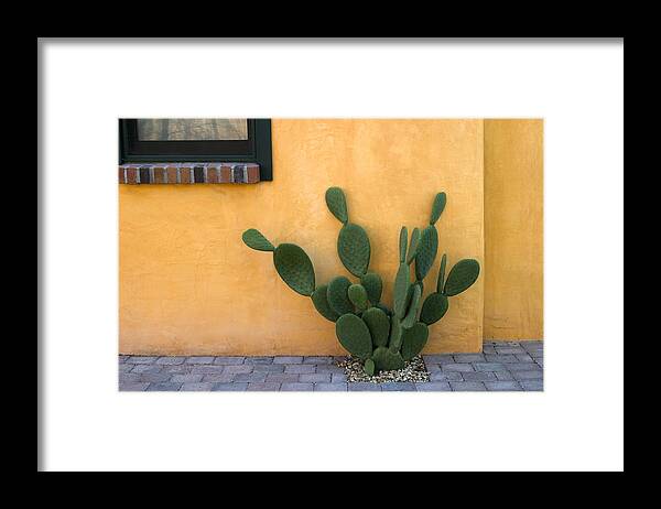 Tucson Framed Print featuring the photograph Cactus and Yellow Wall by Carol Leigh