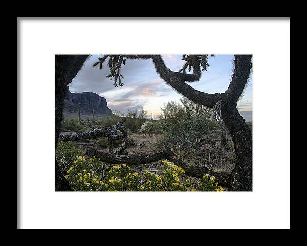 Desert Framed Print featuring the photograph Cactus Framed Sunset by Dave Dilli