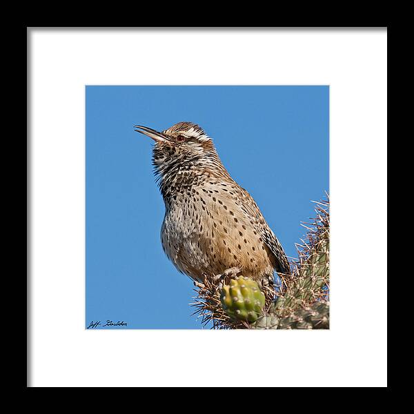 Animal Framed Print featuring the photograph Cactus Wren Singing by Jeff Goulden