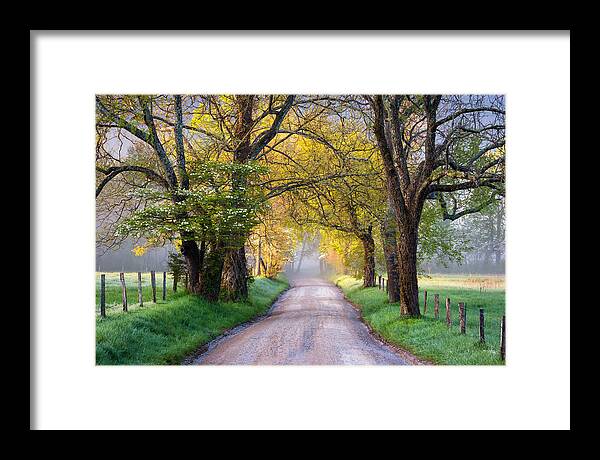 Cades Cove Framed Print featuring the photograph Cades Cove Great Smoky Mountains National Park - Sparks Lane by Dave Allen