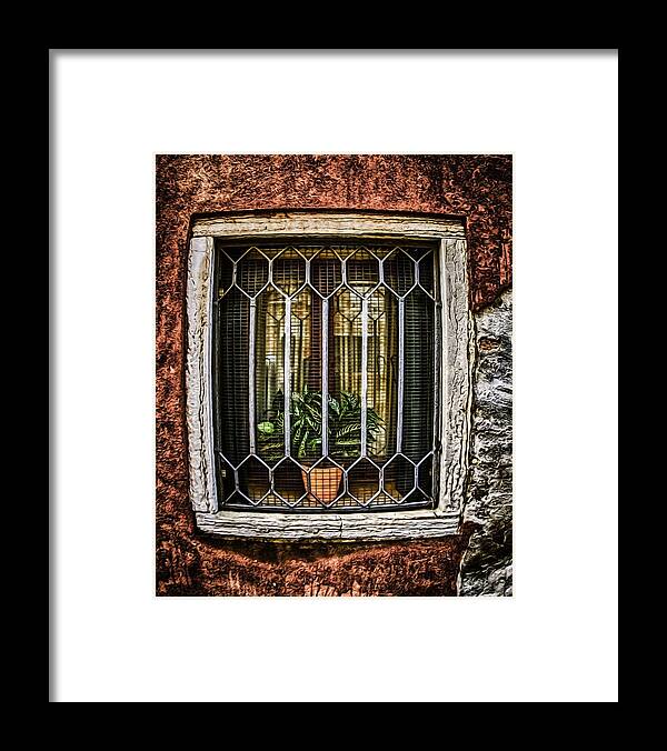 Flower Framed Print featuring the photograph Caged Plant by Eye Olating Images