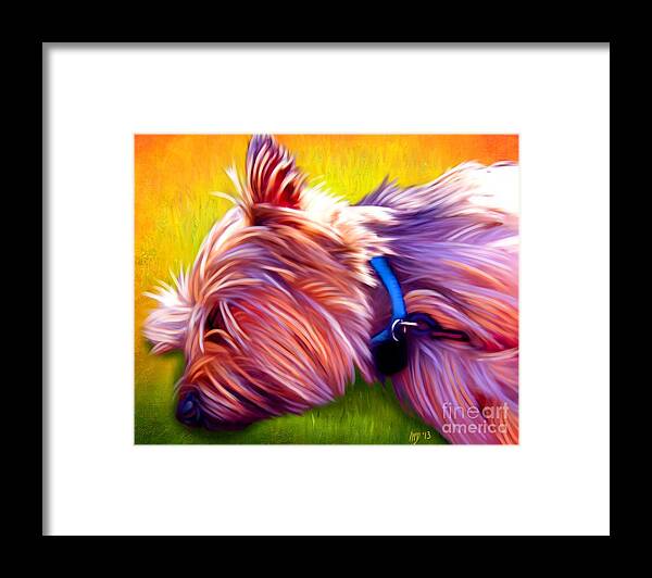 Dog Paintings Framed Print featuring the painting Cairn Terrier by Iain McDonald