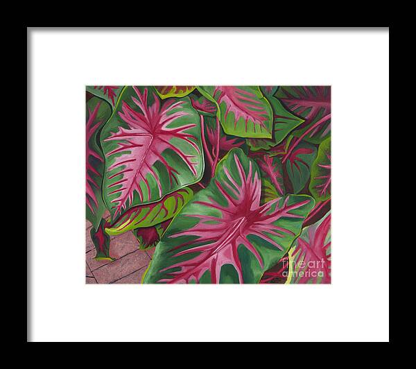 Caladiums Framed Print featuring the painting Caladiums by Annette M Stevenson