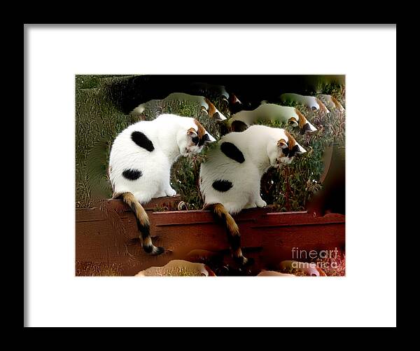 Calico Cats Framed Print featuring the photograph Calico Cats by Phyllis Kaltenbach