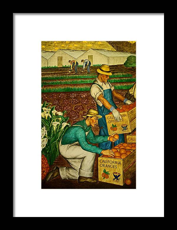 Coit Tower Framed Print featuring the photograph California Farmers by Joseph Coulombe