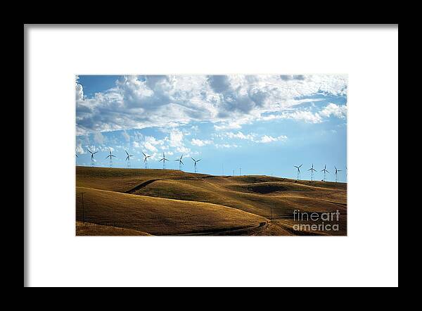 Hills Framed Print featuring the photograph California Gold by Ellen Cotton