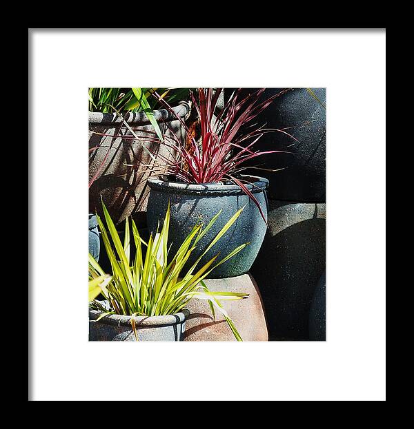 California Framed Print featuring the photograph California Potted Plants by Jan Moore
