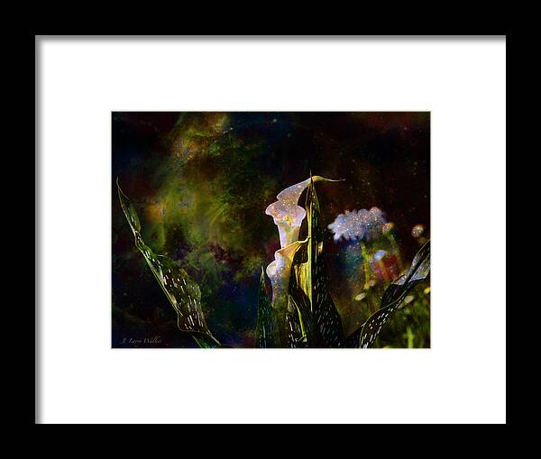 J Larry Walker Framed Print featuring the digital art Calla Lily Abstract by J Larry Walker