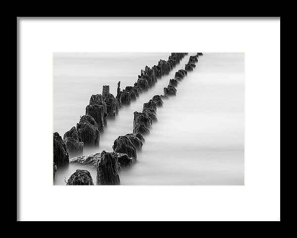 Kelly Point Park Framed Print featuring the photograph Calm across the river by Kunal Mehra