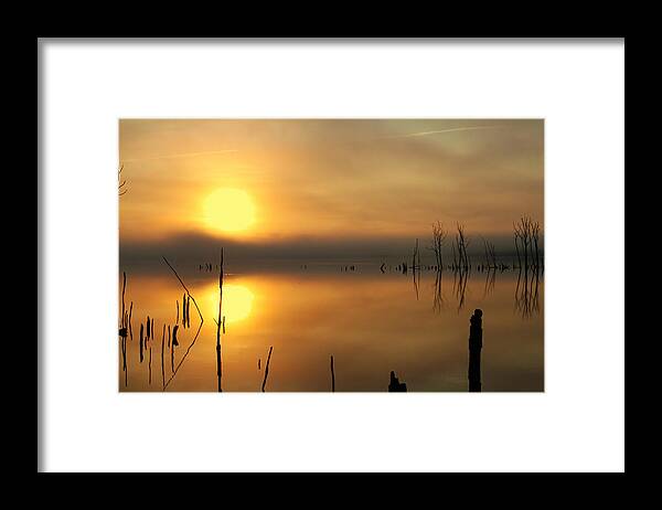 Water Framed Print featuring the photograph Calm at Dawn by Roger Becker
