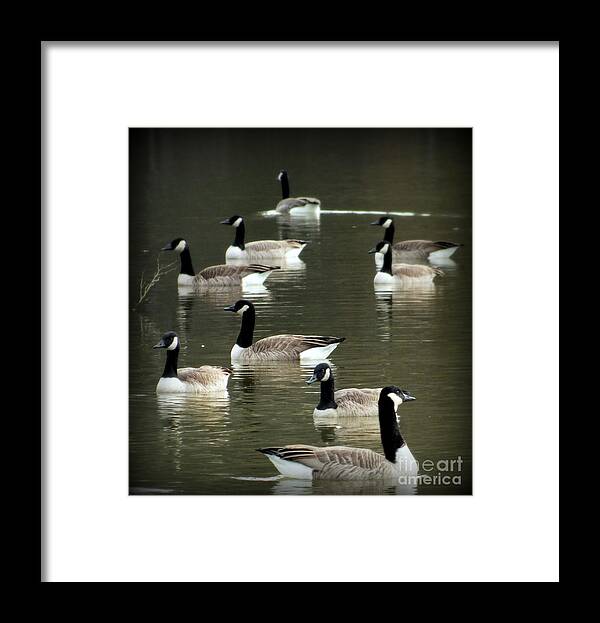 Waterscapes Framed Print featuring the photograph Calm Waters by Karen Wiles