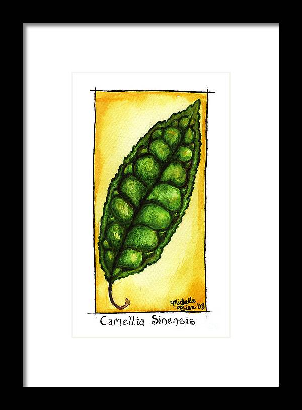 Camellia Sinensis Framed Print featuring the painting Camellia Sinensis Leaf by Michelle Bien
