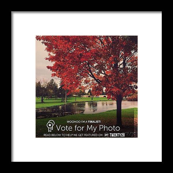  Framed Print featuring the photograph Can You Help Me Win The Best Of October by Maury Page